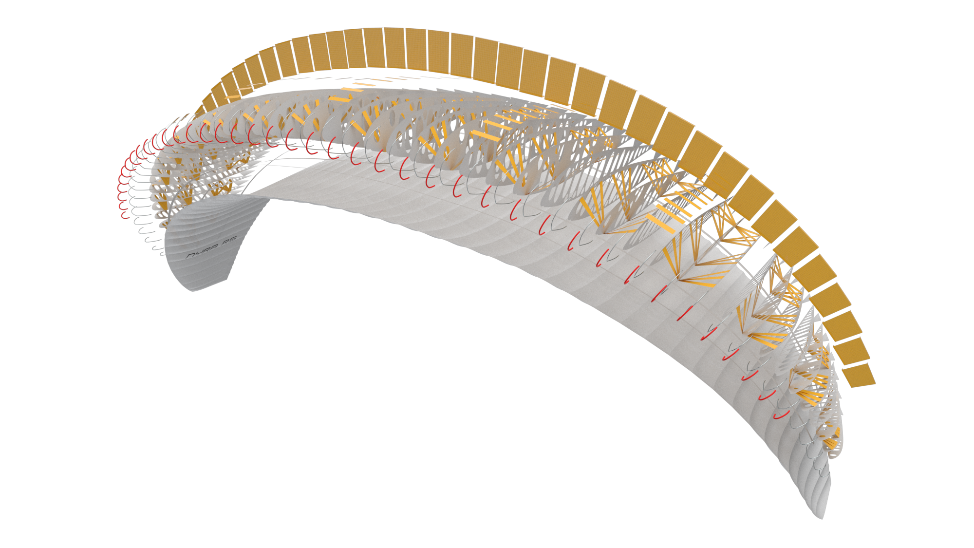 SWING PARAGLIDERS D-LITE semilite